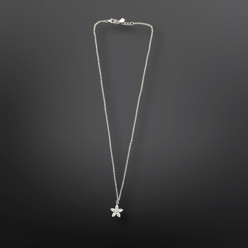 92.5 Silver Minimalistic Star Pendant with Silver Chain